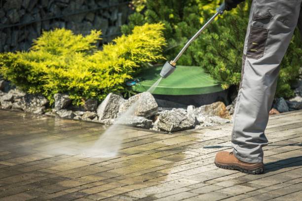 Best Soft Washing  in Sutter, CA